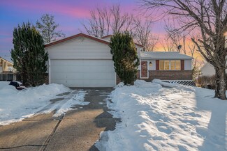 25 W Cobblestone Ct, Florence, KY 41042