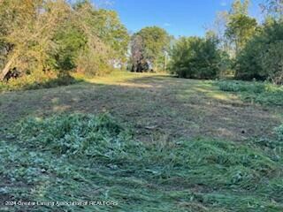 265 N Aurelius Rd, Mason, MI 48854
