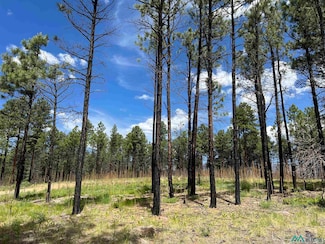 152 Calle Retiro, Rociada, NM 87742