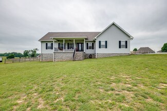 2033 Connie Allen Rd, McKenzie, TN 38201