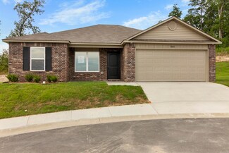 5040 Windflower Cove, Alexander, AR 72002