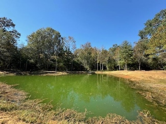 42 Tom Warner Rd, Tylertown, MS 39667