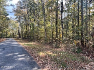 0 Pelahatchie Rd Unit 4132538, Pelahatchie, MS 39145