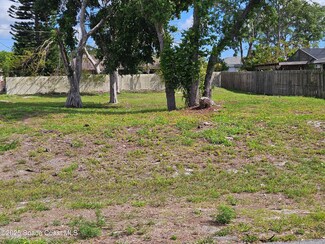 2163 Advana St NE, Palm Bay, FL 32905