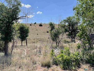 191 Kirkland Rd, Silver City, NM 88061