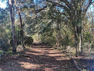 11418 NW 161st St, Alachua, FL 32615