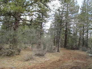 10 Golden Eagle Dr, Bonanza, OR 97623