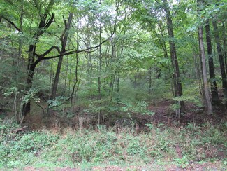 0 Dougher Knob Rd, Meadow Bluff, WV 24977