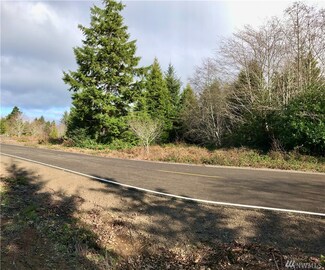 0 Ranta Rd Unit 1564788, South Bend, WA 98586