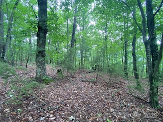 0 Kens Rock Rd Unit 20 CAR4170525, Lake Lure, NC 28746