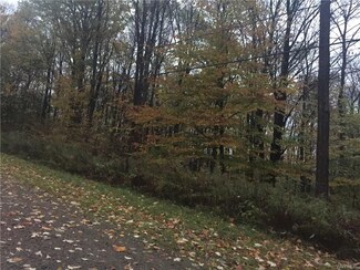 0 Dublin Terrace Unit B1014008, Salamanca, NY 14779