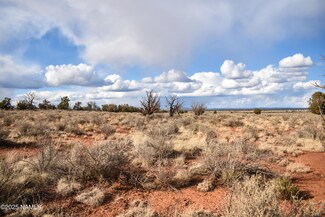 1333 E Laramie Dr, Williams, AZ 86046