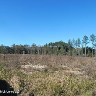0 Blackberry Ln Unit 4099091, Lucedale, MS 39452