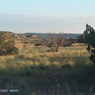 Lot 61 River Springs Ranch Unit N6400, St. Johns, AZ 85936