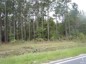 440 Dothan Rd, Tabor City, NC 28463