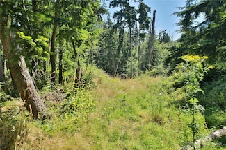 0 Lot  9 Evergreen Ln, Freeland, WA 98249