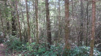 0 NE Dole Valley Rd Unit 789008, Yacolt, WA 98675