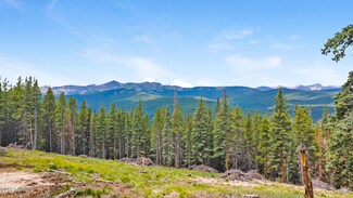 80 Taylor Hill Rd, Red Cliff, CO 81649