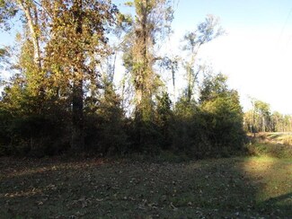 xxx Cr 333 & Flint, Bristol, FL 32321