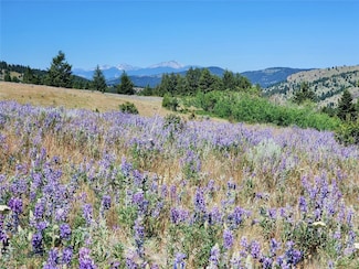 Tbd Bull Run Gulch Rd, Butte, MT 59701