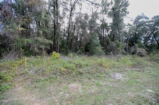 4715 S Silver Fox Terrace, Inverness, FL 34450