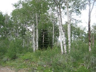0 Thunder Rd, Daniel, WY 83115