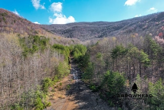 0 Straight Fork Rd Tract 3, Huntsville, TN 30161