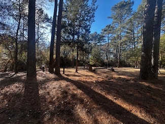 TBD lot 40 Cherokee Ln, Waller, TX 77484