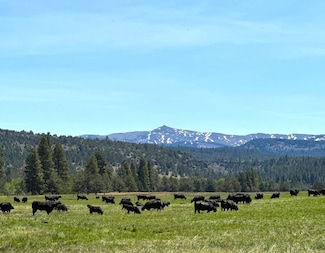 0 County Road 199, Alturas, CA 96101