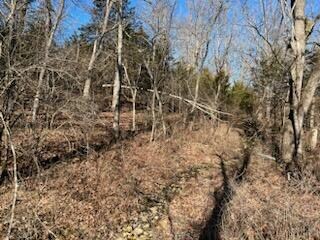 000 Morgan Rd, Houston, MO 65483