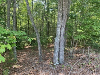 Lot 34 Point Overlook Trail, Murphy, NC 28906