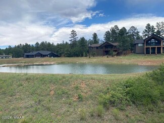 1381 S Lakeside Trail, Show Low, AZ 85901
