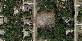 5919 N Hazelwood Dr, Pine Ridge, FL 34465