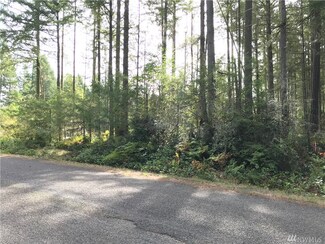 11320 108th St, Anderson Island, WA 98303