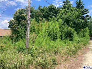 1105 S Macarthur Ave, Dillon, SC 29536