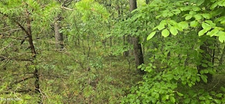 423 Saint George Dr, Crossville, TN 38558