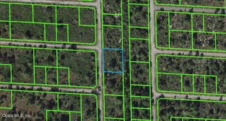 933 Carlsbad St, Lake Placid, FL 33852