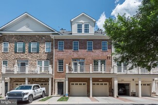 41984 Blue Flag Terrace, Stone Ridge, VA 20105