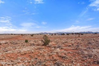 2458 E Antelope Vista, Valle, AZ 86046