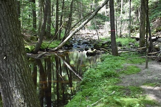 257 Rowentown Rd, Wentworth, NH 03282