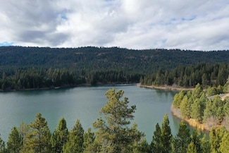 320 Blackhawk Lake Dr, McCall, ID 83638
