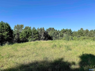 33+/- Acres County Road 1101, Vinemont, AL 35179