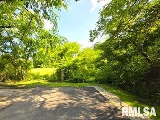 0000 N Maysville Ln, Mount Vernon, IL 62864