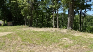 46 Billy Westmoreland Rd, Celina, TN 38551
