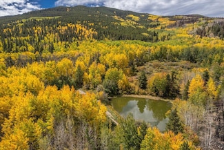 0 County Road 28a, Twin Lakes, CO 81251