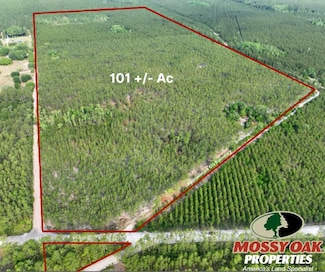 0 Ralph Davis Rd, Folkston, GA 31537