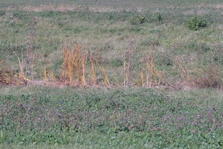 Lot 4 S Rt 52 Rd, Manhattan, IL 60442