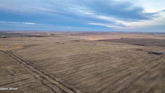TBD 102nd St NE, Wales, ND 58281