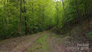 TBD Cove Gap Rd Unit 2, Moravian Falls, NC 28654