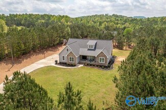 1988 Walden Hollow Rd, Attalla, AL 35954